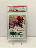 2025 TOPPS X BOB ROSS THE JOY OF BB BUDDING TALENTS ELLY DE LA CRUZ /75 PSA 10